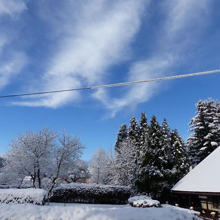 Apartmany Plischke Lipova Lazne Bagian luar foto